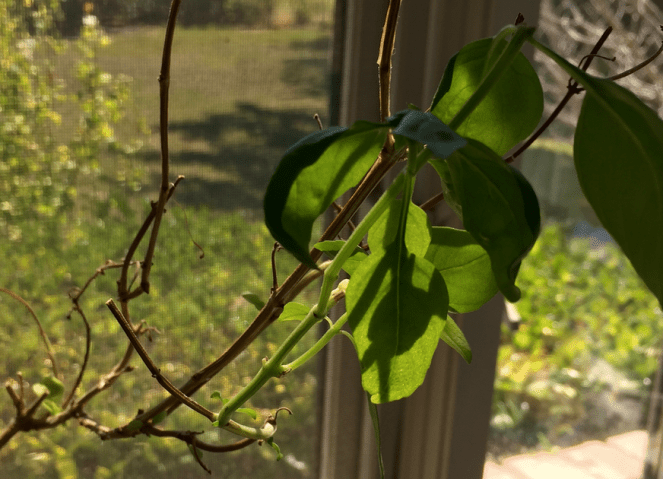 screen-shot-2016-09-11-at-10-19-19-pm