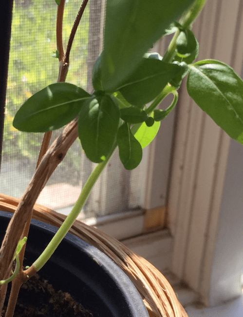 screen-shot-2016-09-11-at-10-20-10-pm